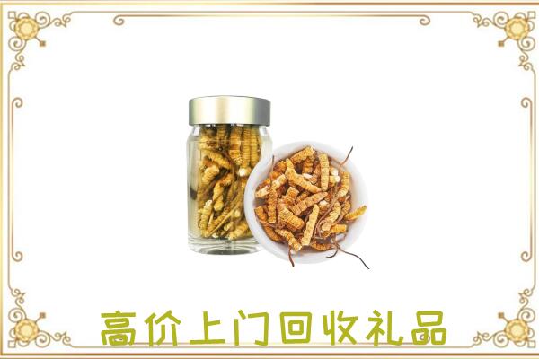 袁州周边回收虫草